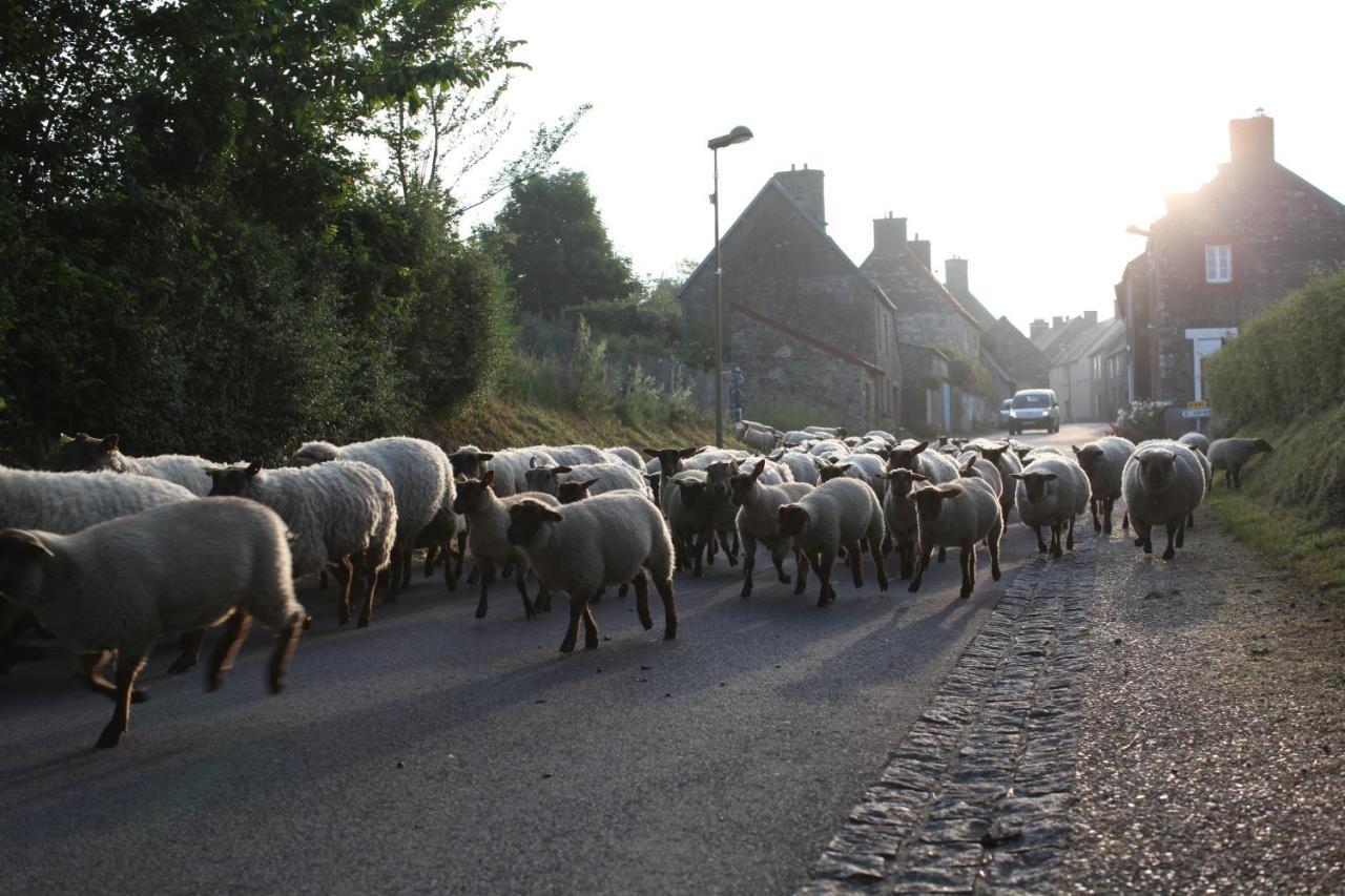 Charmante Maison De Pecheur En Baie Du Mont Saint Michel Genets Экстерьер фото